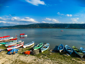 Gölyazı