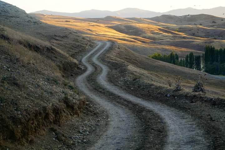 YoL
