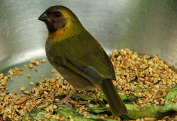 Hungry little friend