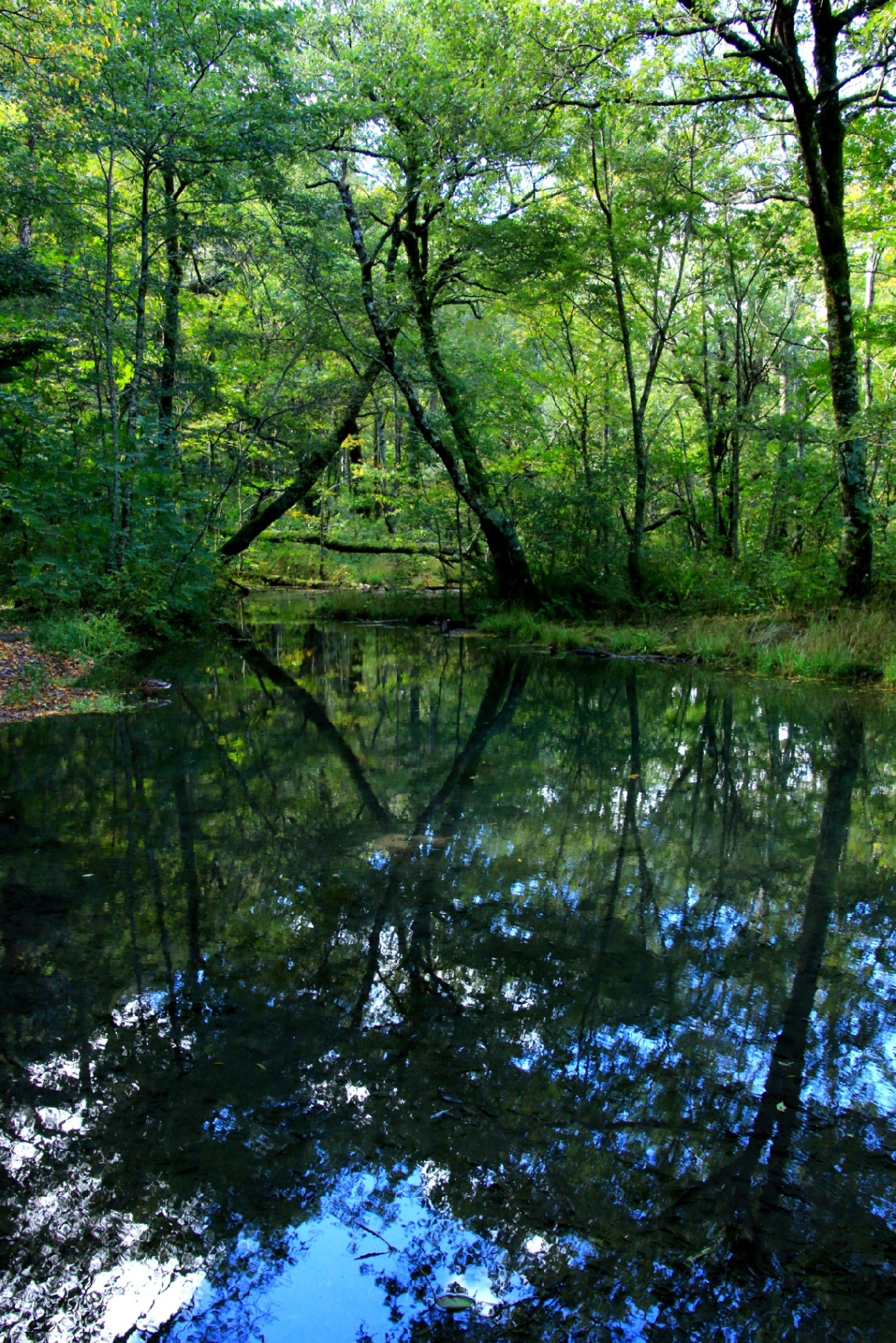 reflection