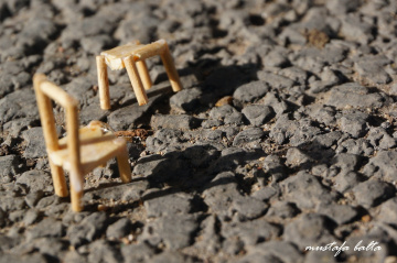 Miniciks Hayatlar  Sandalye &Masa 