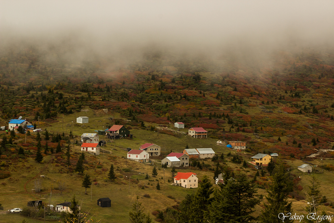 SİSLİ YAYLA