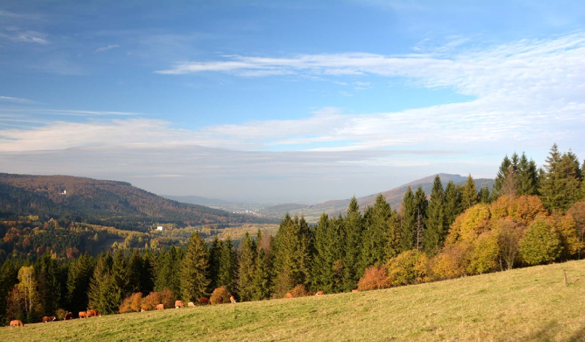 Autumn in the mountains