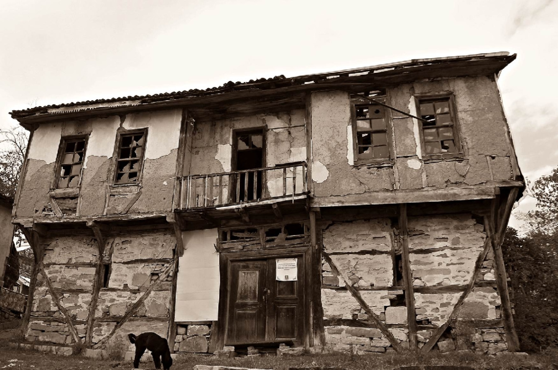 VİRANE
