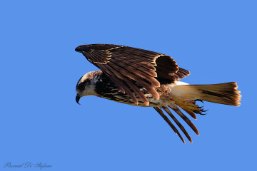 Overflying