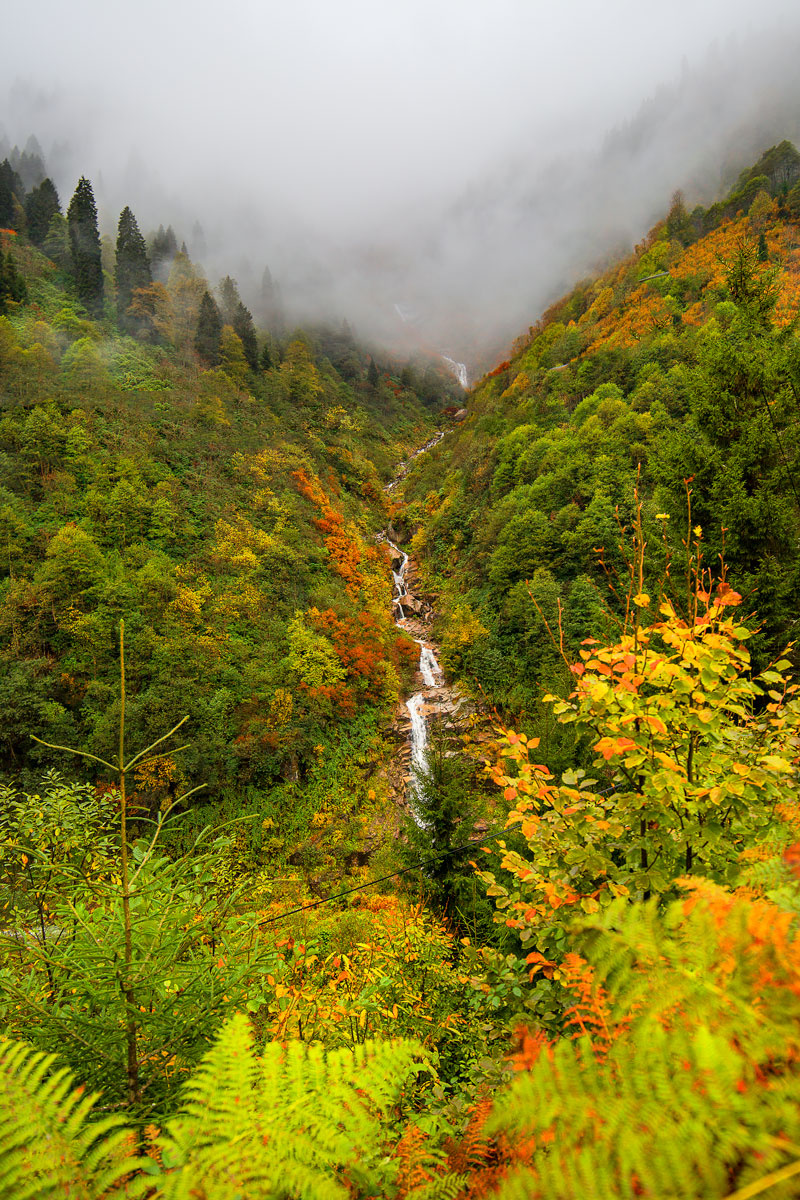 Ayder'in dereleri