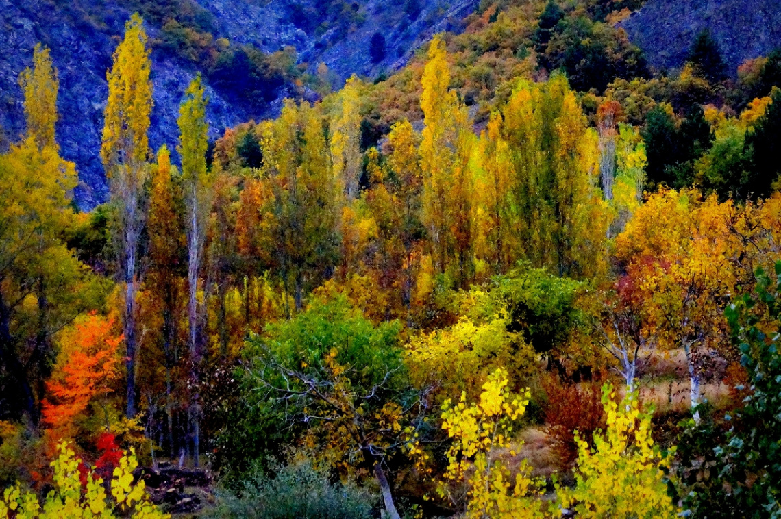 Mevsim Sonbahar