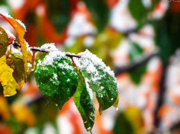 #winter