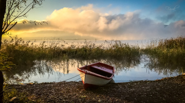 Yeni Güne Uyanmak...
