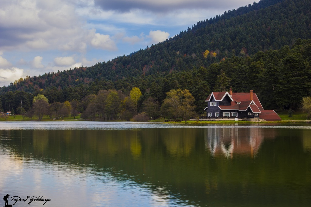 Bolu / Gölcük 