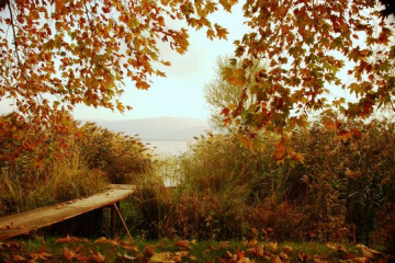 Seka Kampı & Sonbahar