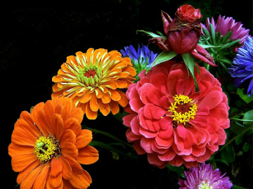 blumenstrauss  ....
