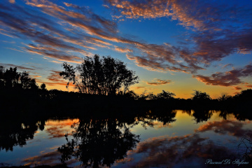Colorful sunset