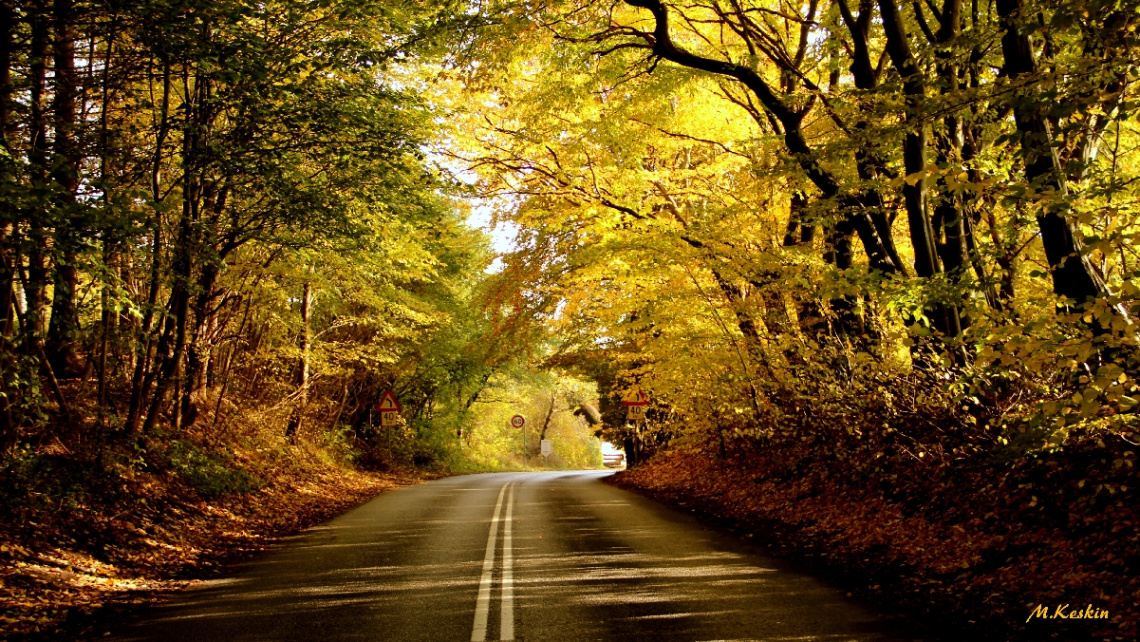 Autumn in Copenhagen