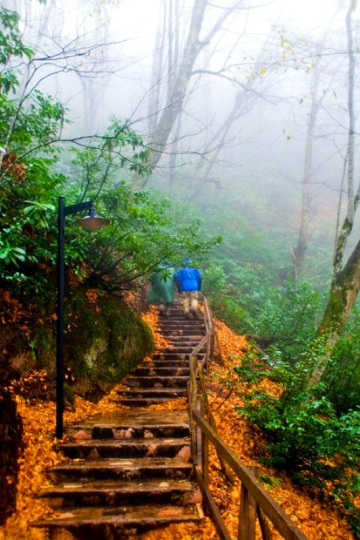 Sonbahar & Güzeldere & Tahta Merdiven