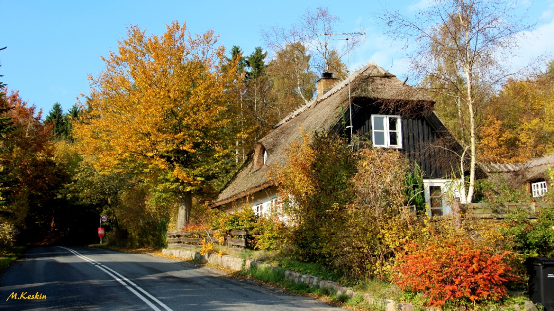  Danish House