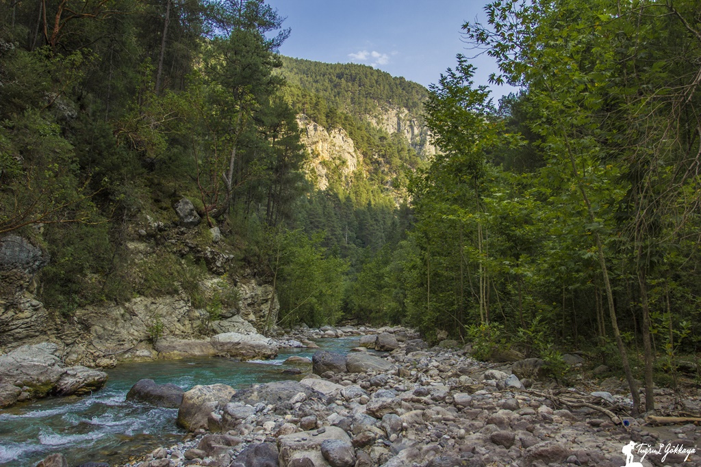 Doğa