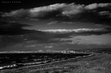 Black and White