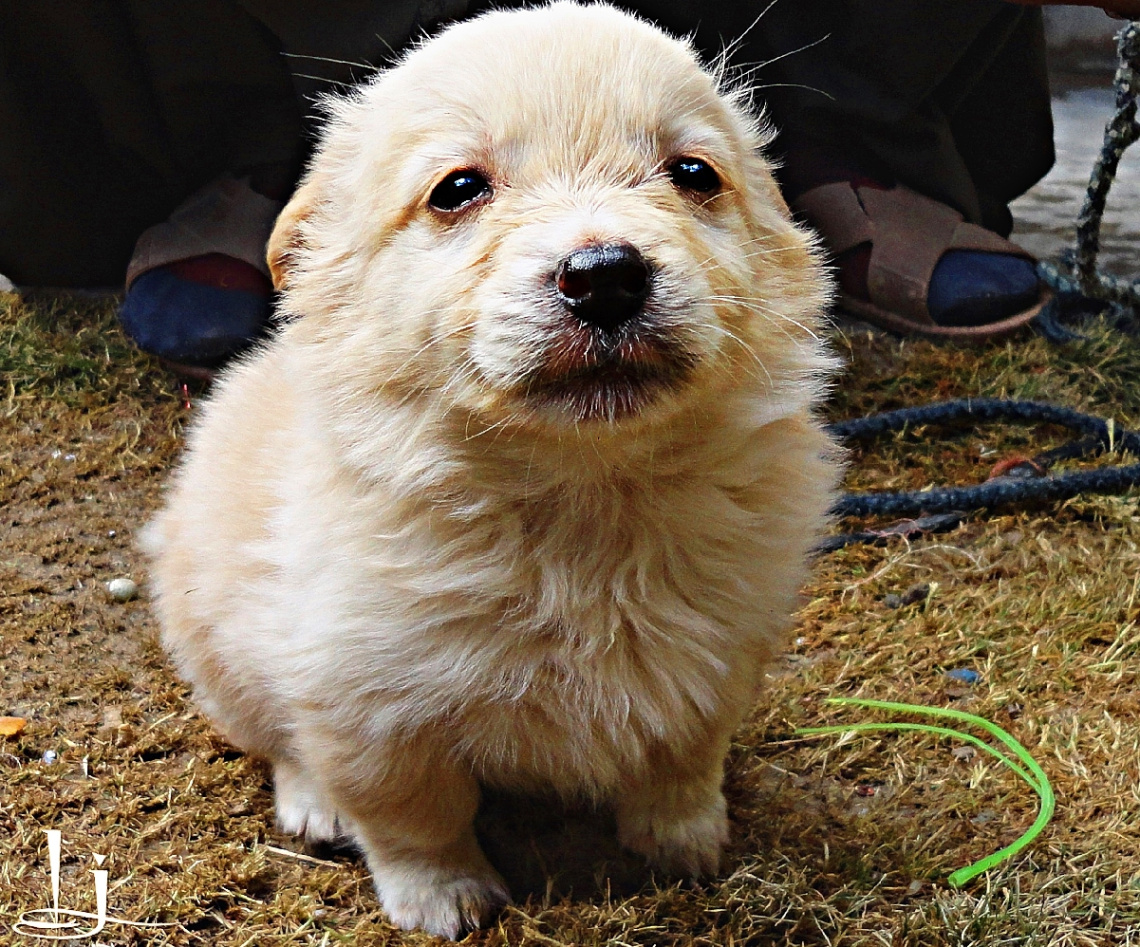 Am I CUTE? ......