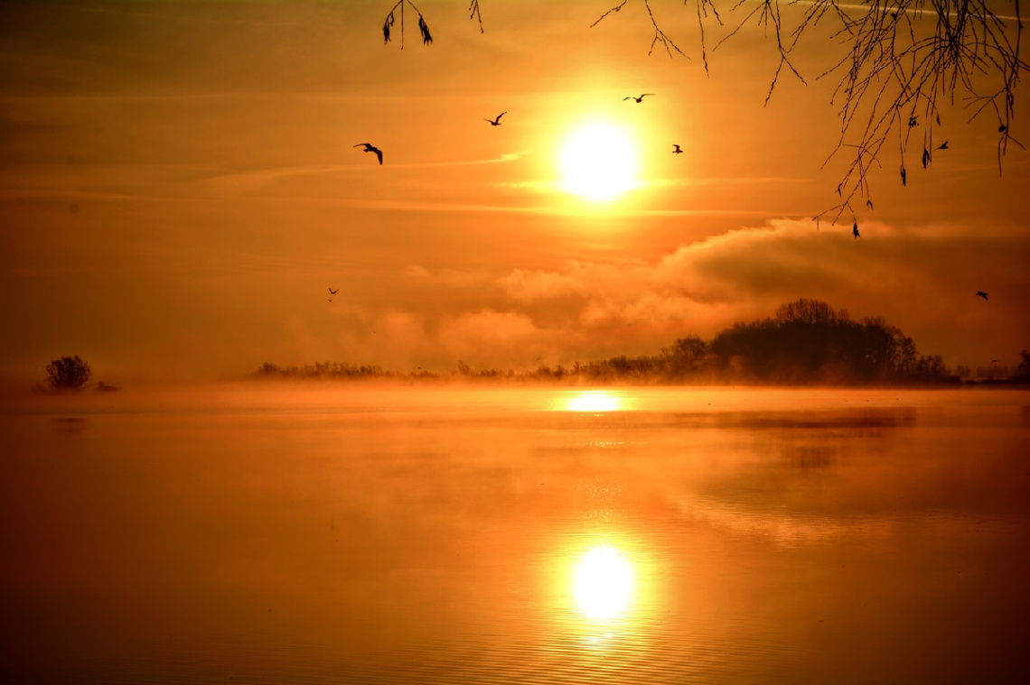 ...morning at the lake