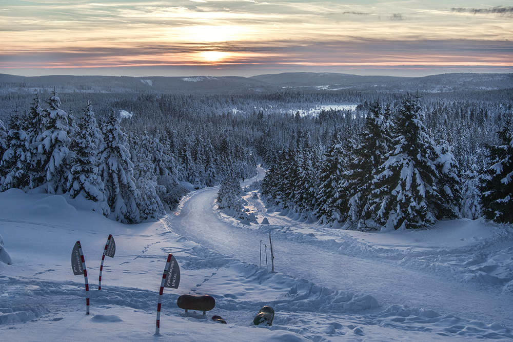 Harz Mountain