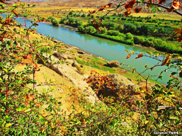 Botan Nehri - SİİRT