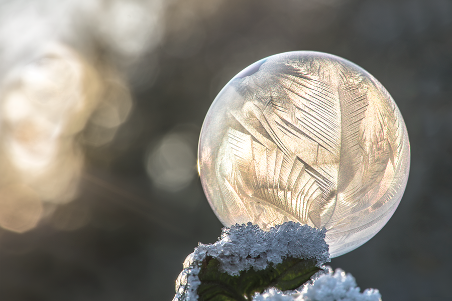 Frozen Soap Bubble
