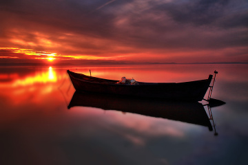 Bandırma Kuş Cenneti