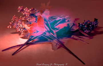 Indoor Infrared Experimentation