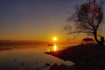 Gölyazı