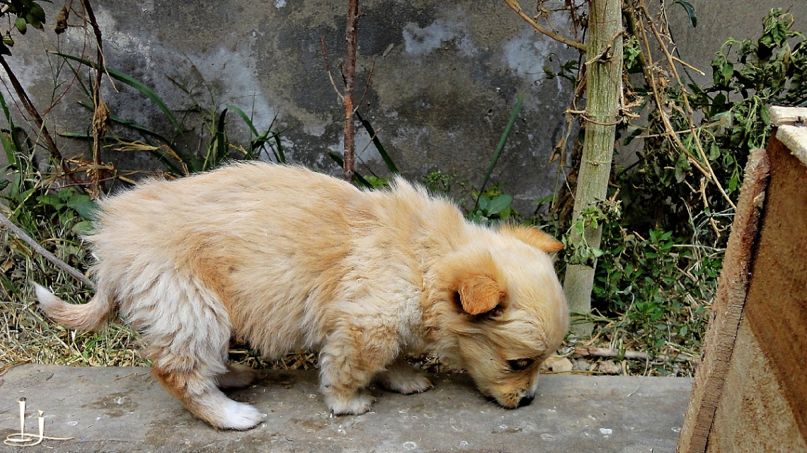 Exploring his new world.....
