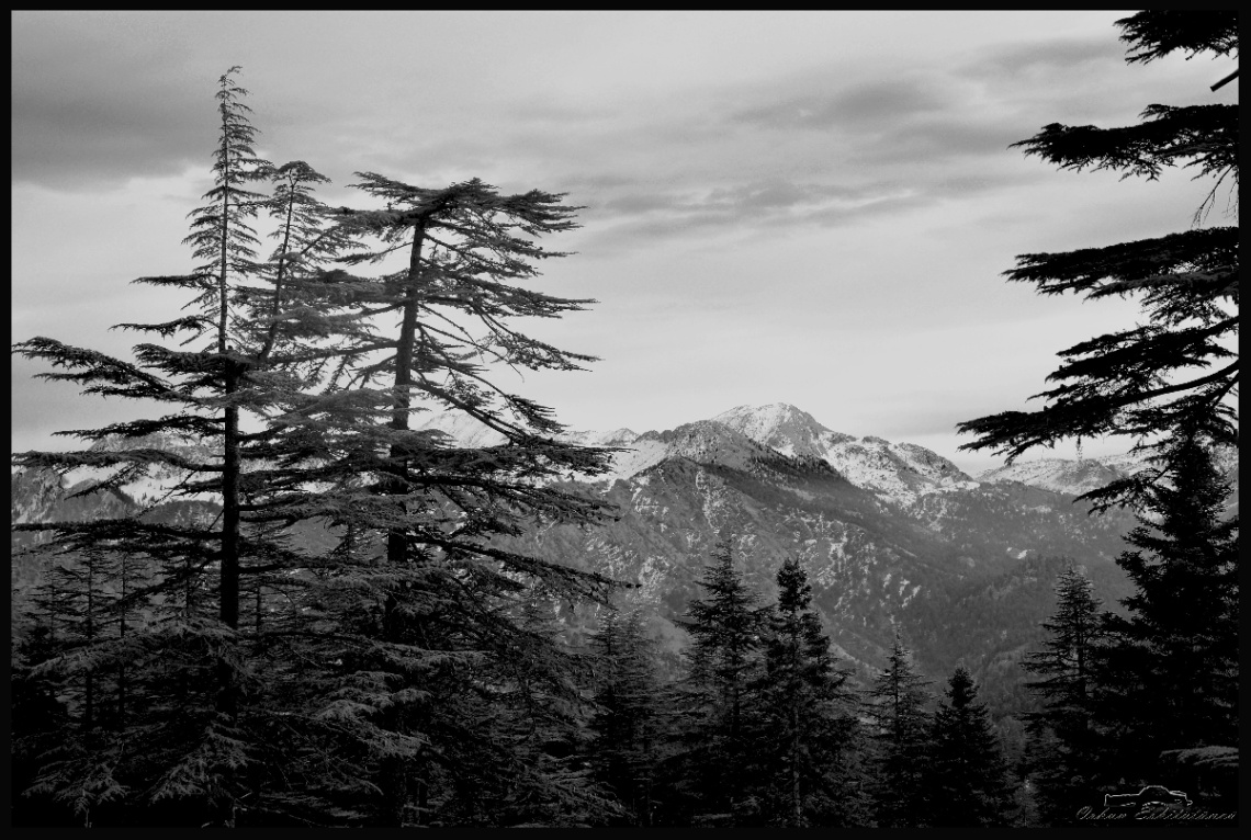 Toros Mountains