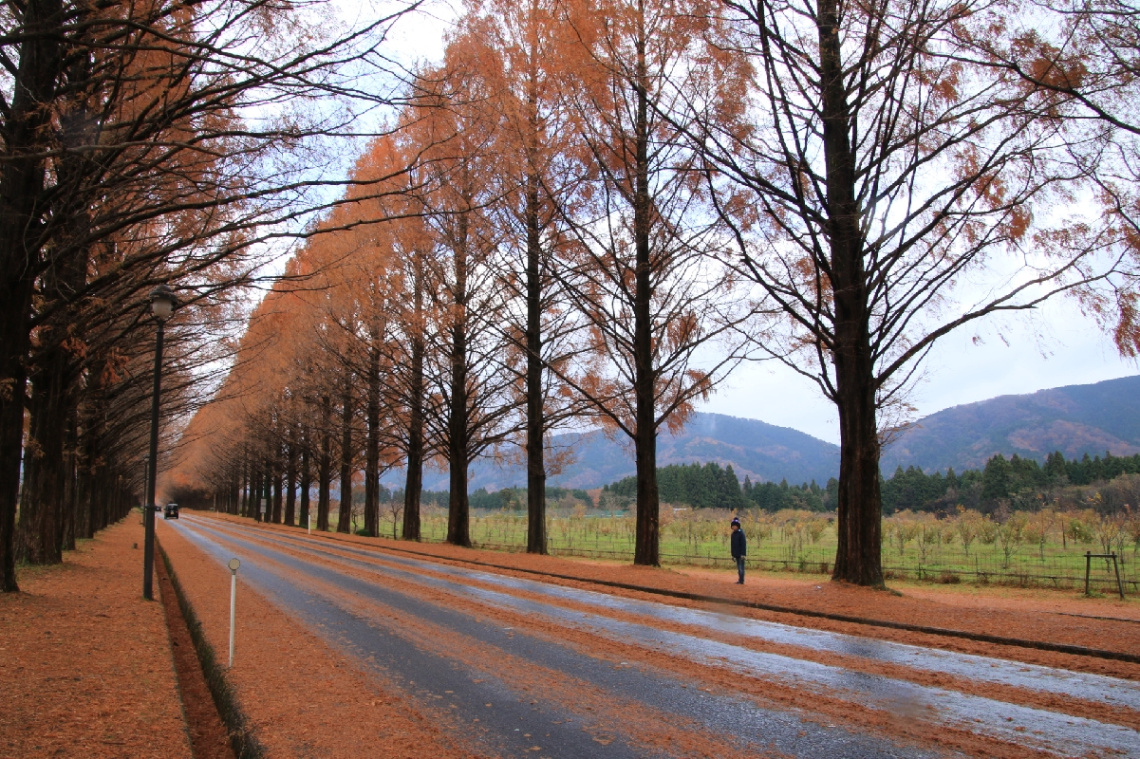avenue