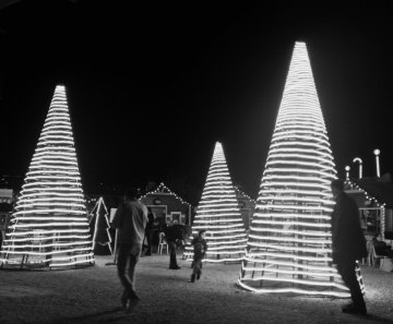 Holidays lights