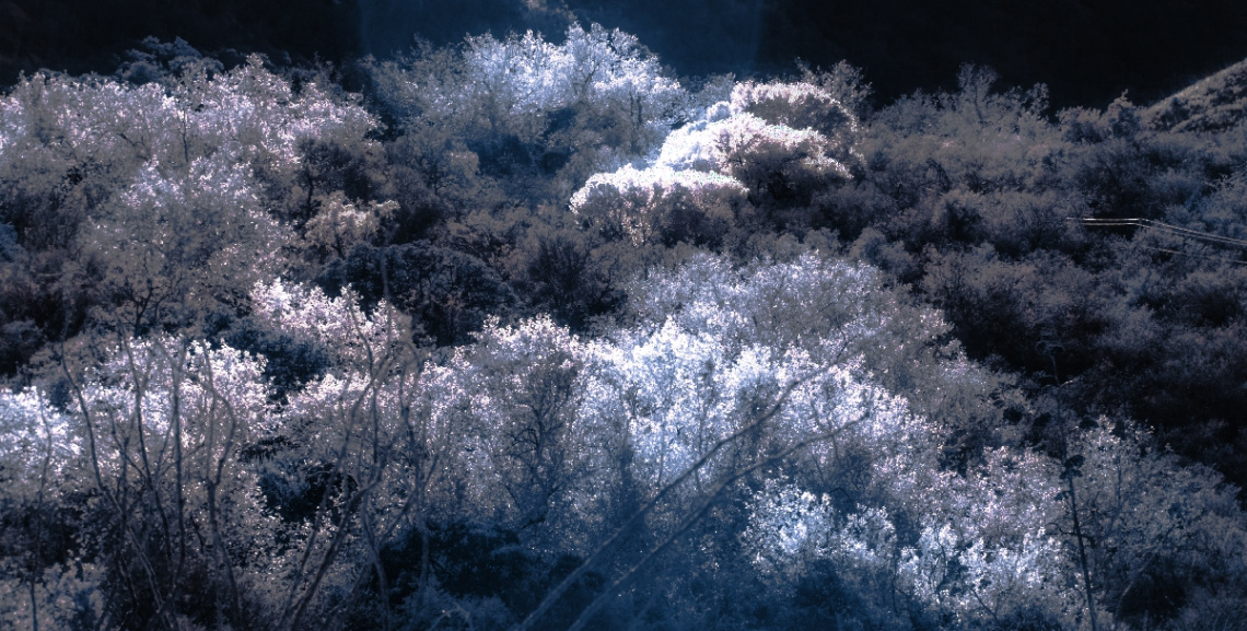 Infrared Sonoran Desert
