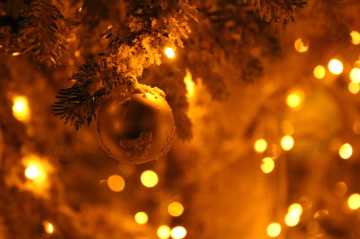 Tivoli December 2016 II