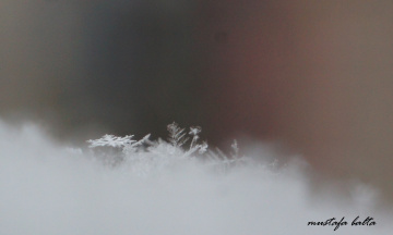 Miniciks Hayatlar Kar Tanesi