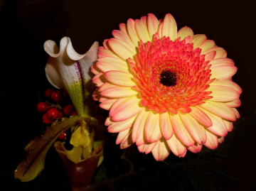 BLÜTEN ***