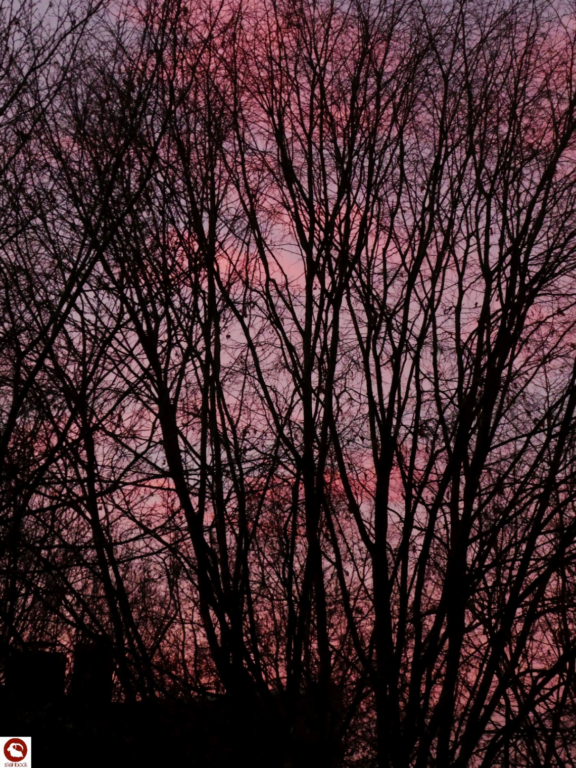 Der Himmel brennt