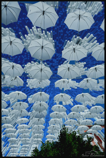 White umbrellas
