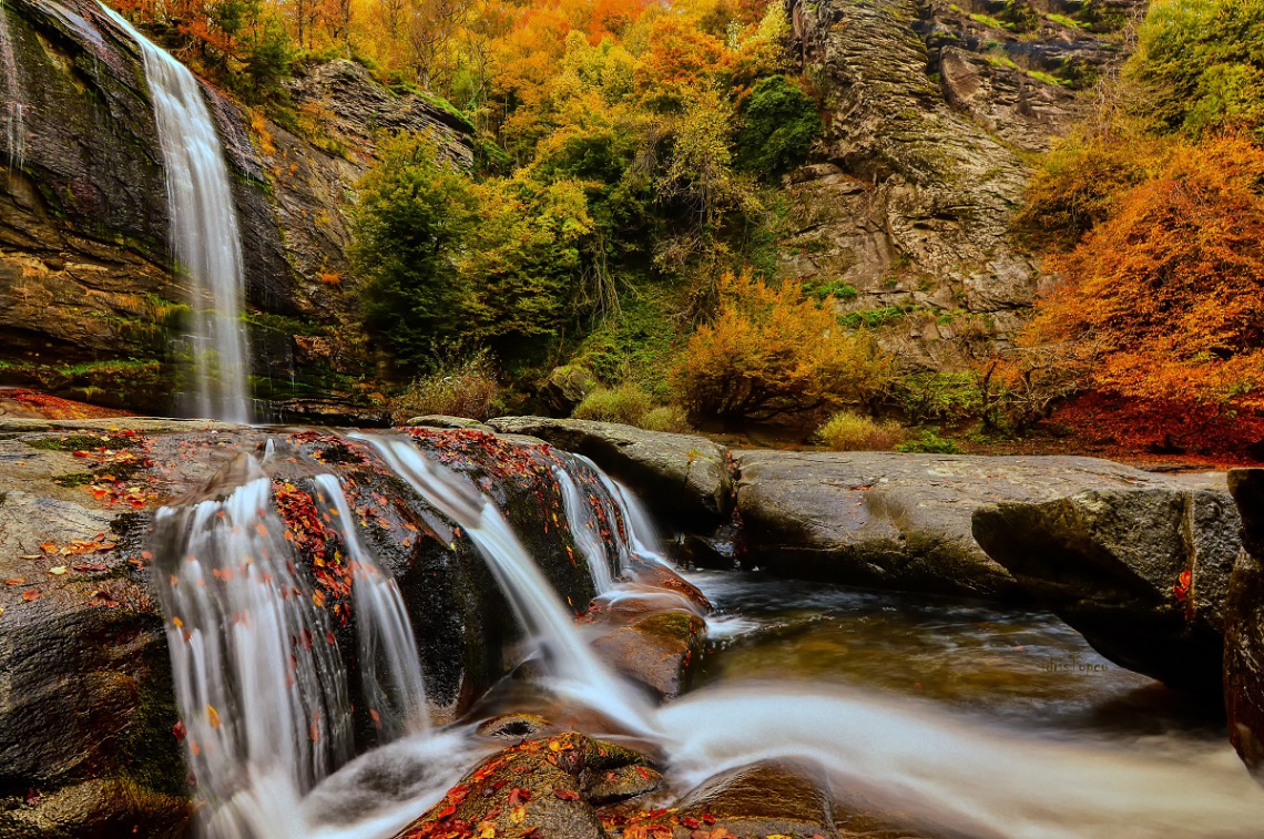 ............ ARKASI KIŞ. ❄⛄❄⛄ 