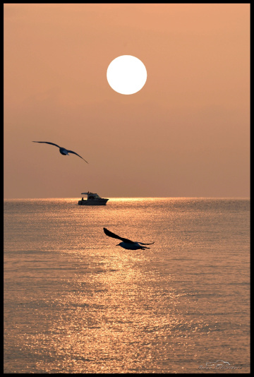  Limonlu beach
