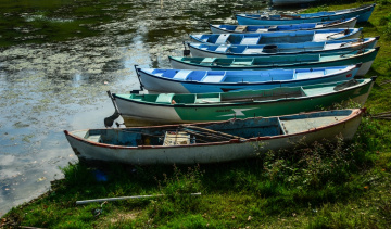 Kayıklar