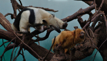 Friends playing