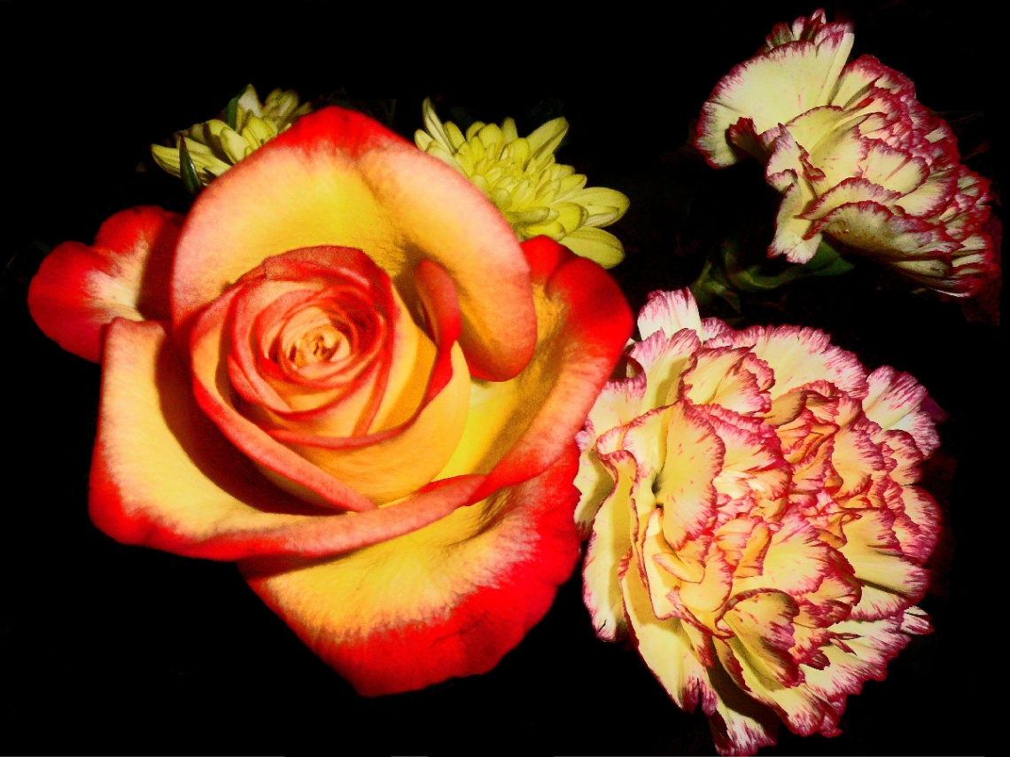 BLÜTEN 6
