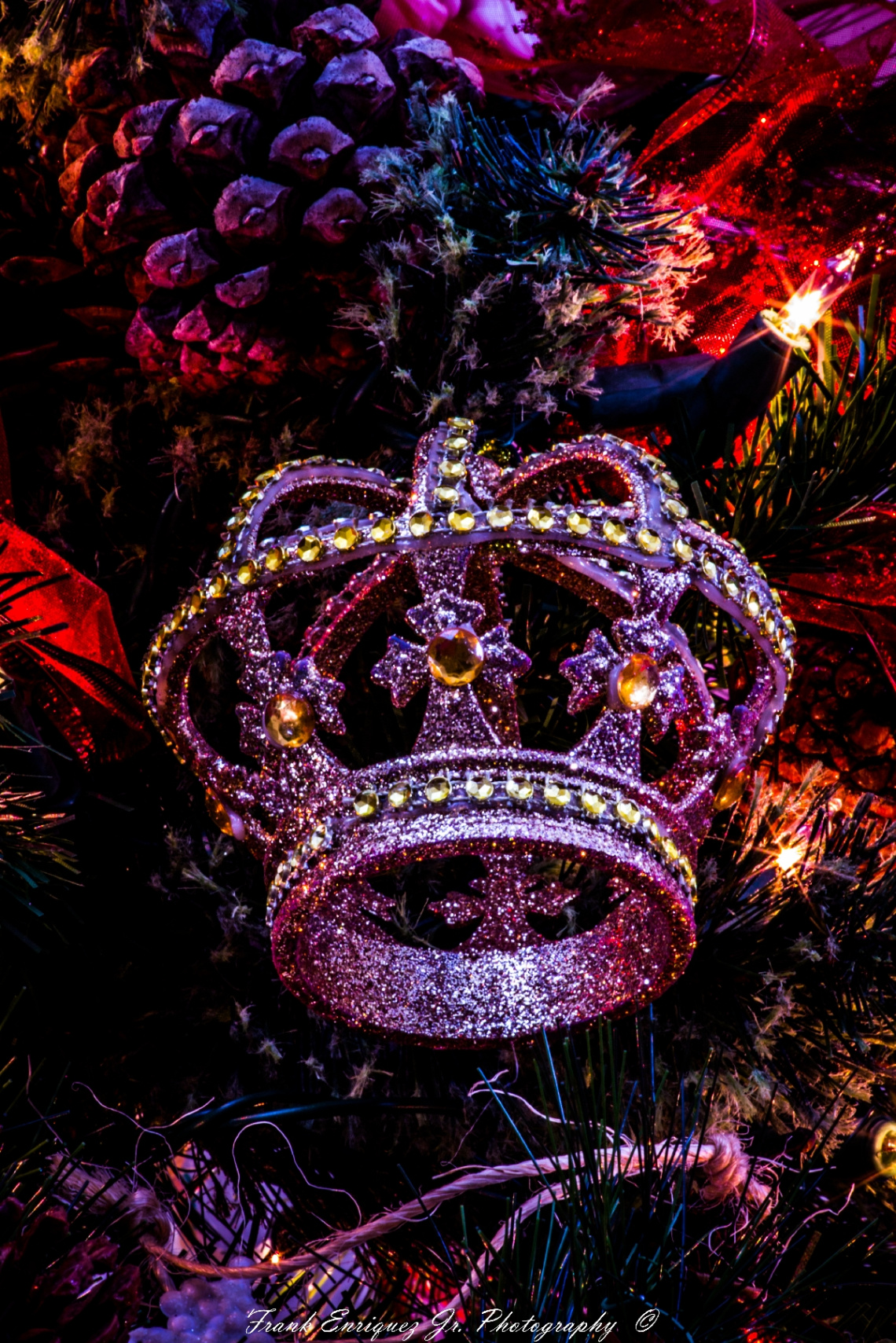 Merry Christmas  -  2016