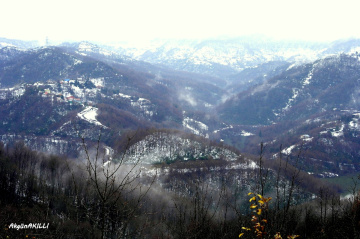 KIŞ
