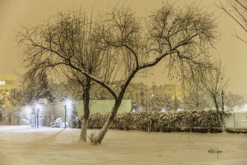Kış Masalı - The Winter's Tale