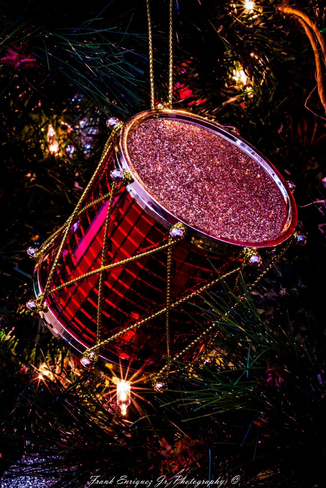 Merry Christmas  -  2016