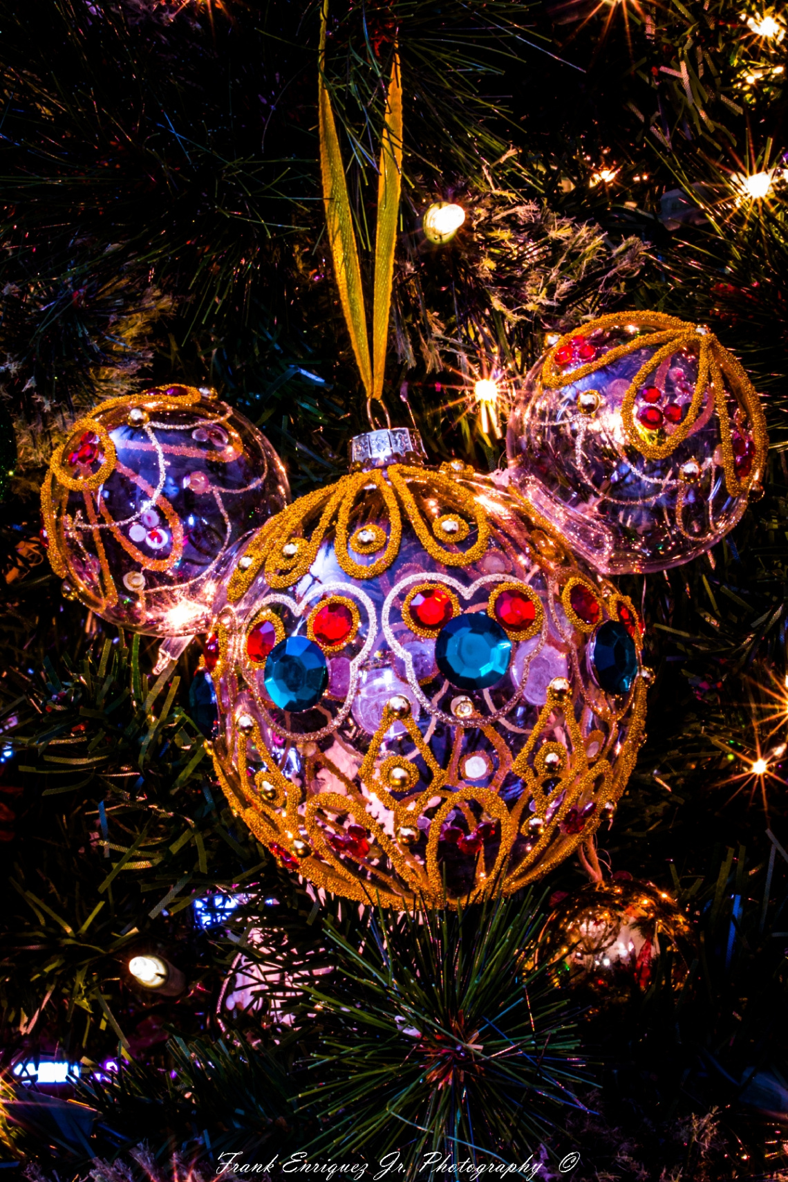 Merry Christmas  -  2016